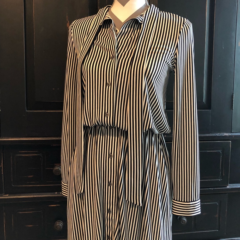NWT! Ann Taylor Tie-Neck Shirtdress - Picture 3 of 3